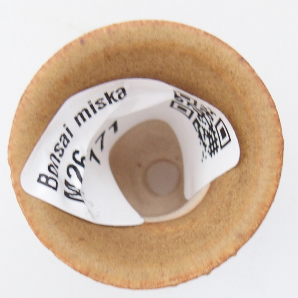 Mini bonsajová miska 3 x 3 x 3,5 cm, hnedá