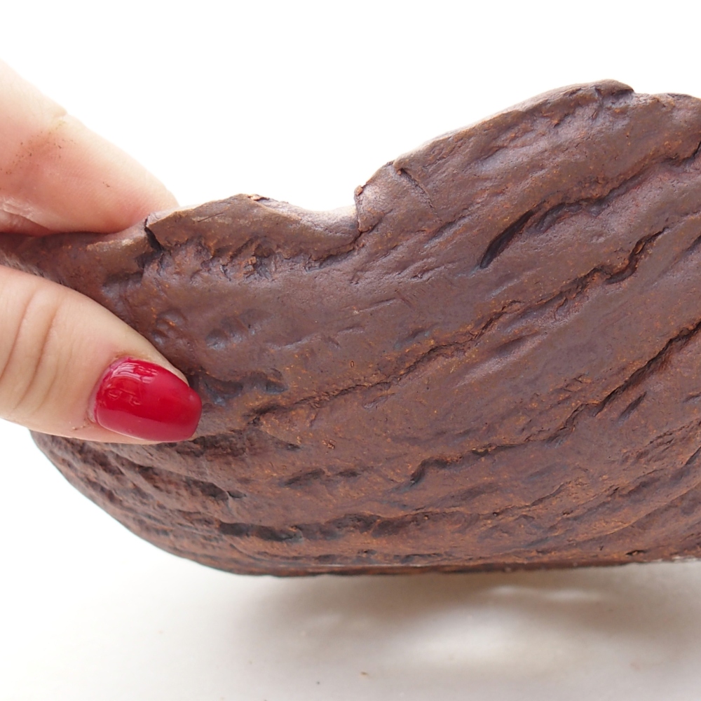 Keramická mušľa 19 x 17 x 7 cm , farba hnedá