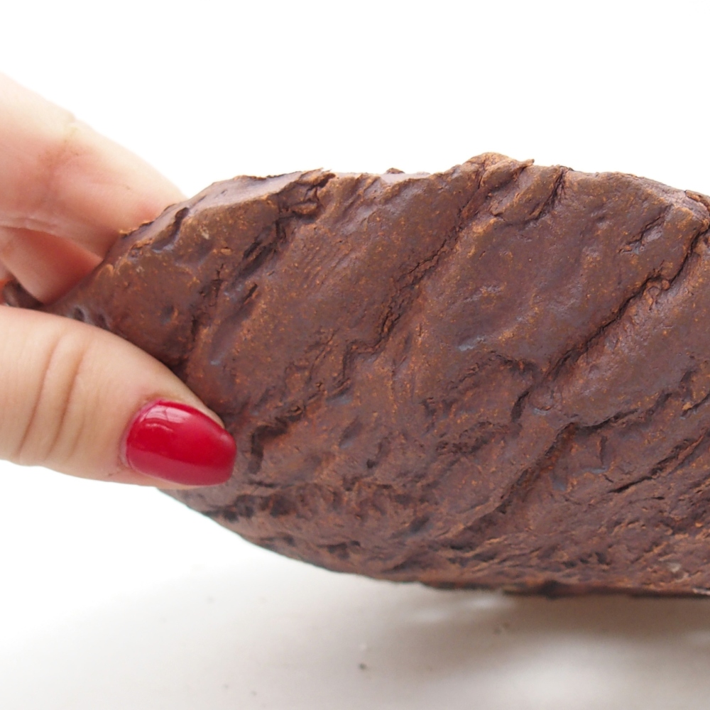 Keramická mušľa 19 x 17 x 5 cm , farba hnedá