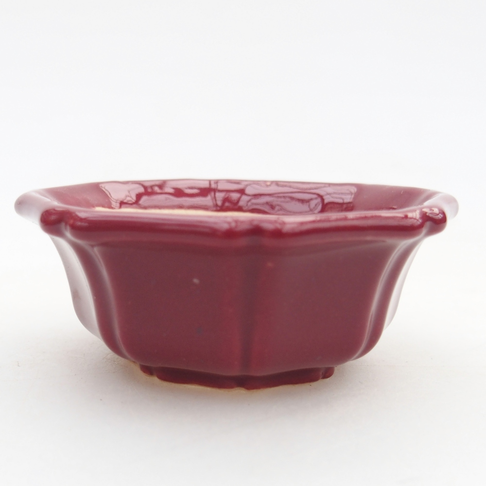 Mini bonsajová miska 6 x 6 x 2,5 cm, bordová