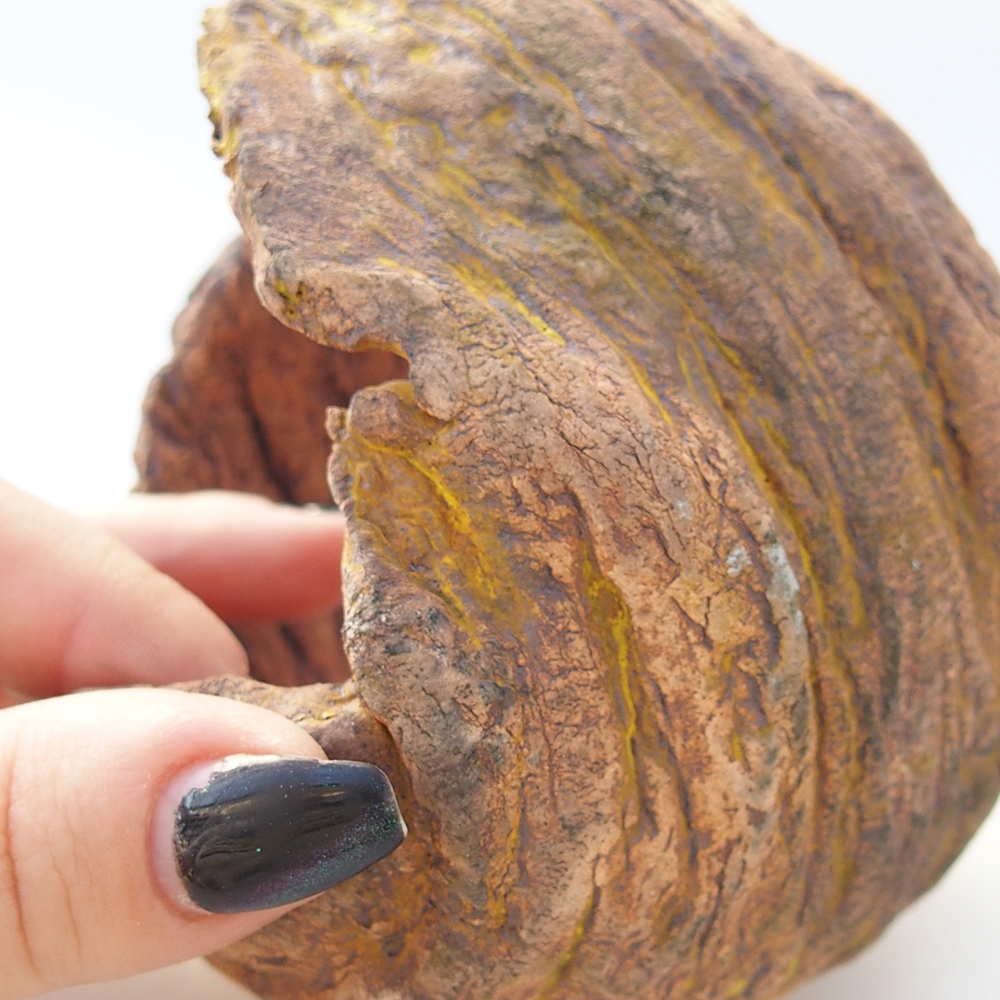 Keramická mušľa 10 x 9 x 12 cm , žltá