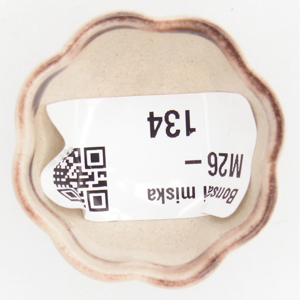 Mini bonsajová miska 4 x 4 x 2 cm, farba červená