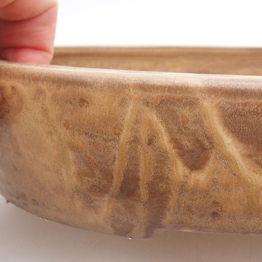 Keramická miska na bonsaje 26 x 20 x 5 cm, farba béžová