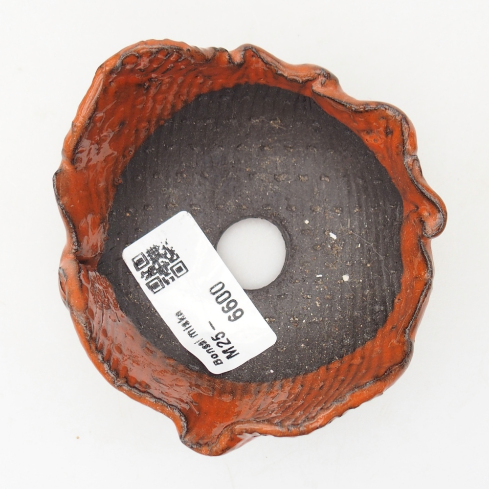 Keramická mušľa 8,5 x 8,5 x 5 cm, farba oranžová
