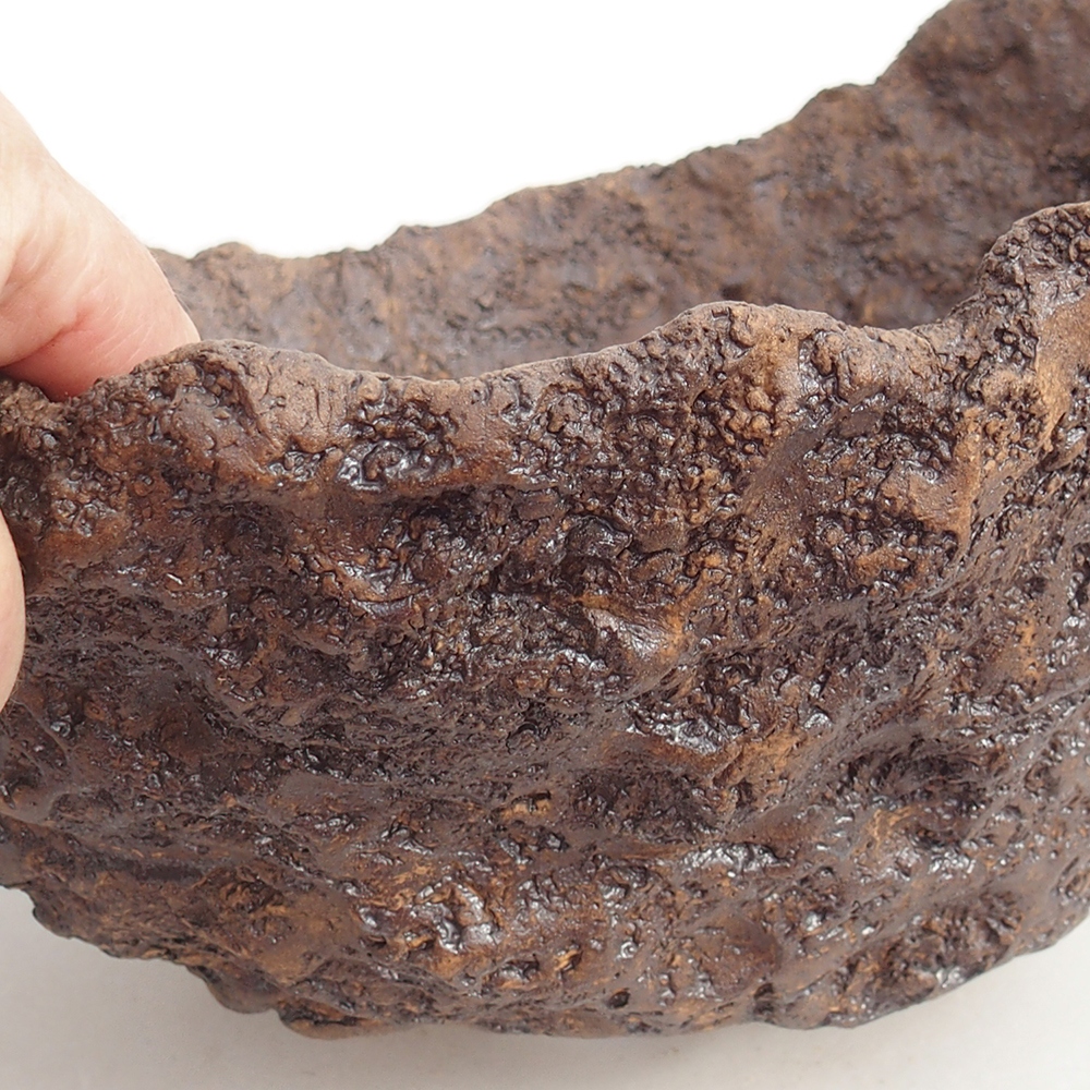 Keramická mušľa 19 x 15 x 14 cm , farba hnedá