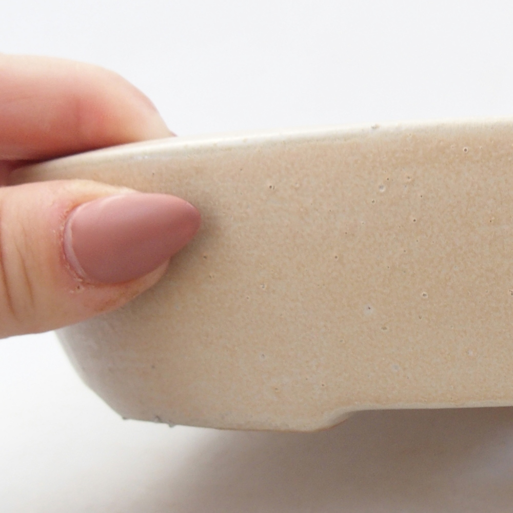 Keramická miska na bonsaje 22 x 16,5 x 4,5 cm, béžová