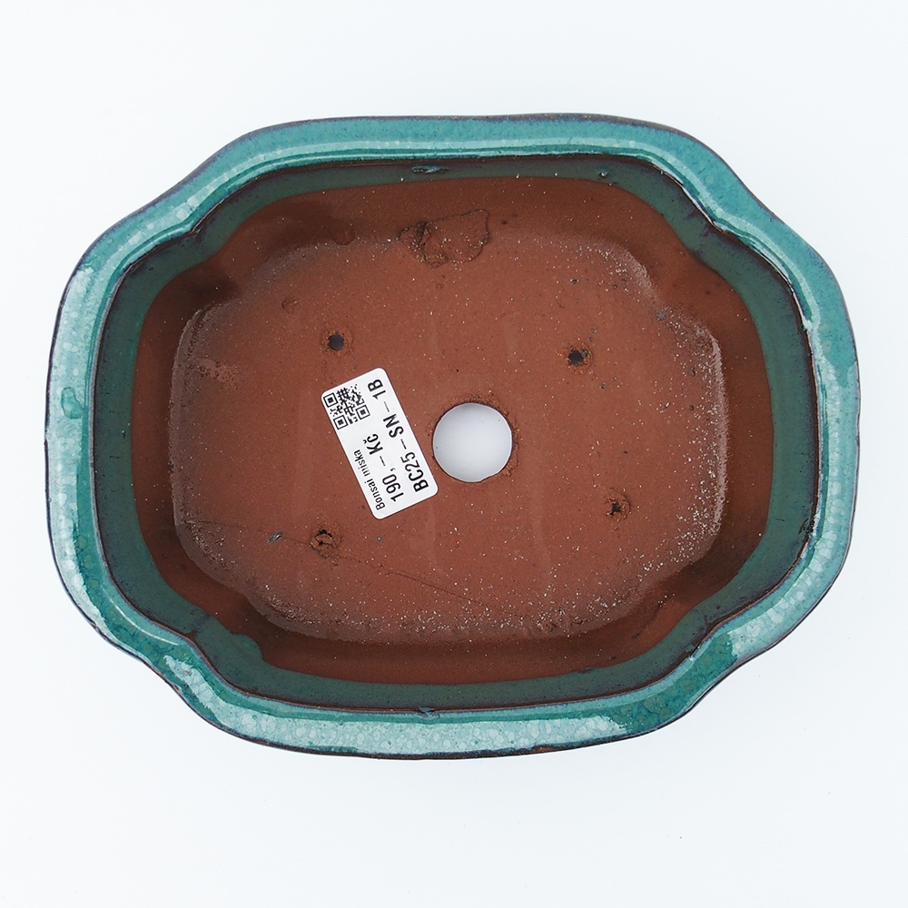 Misa 20 x 16 x 6,5 cm zeleno-modrá