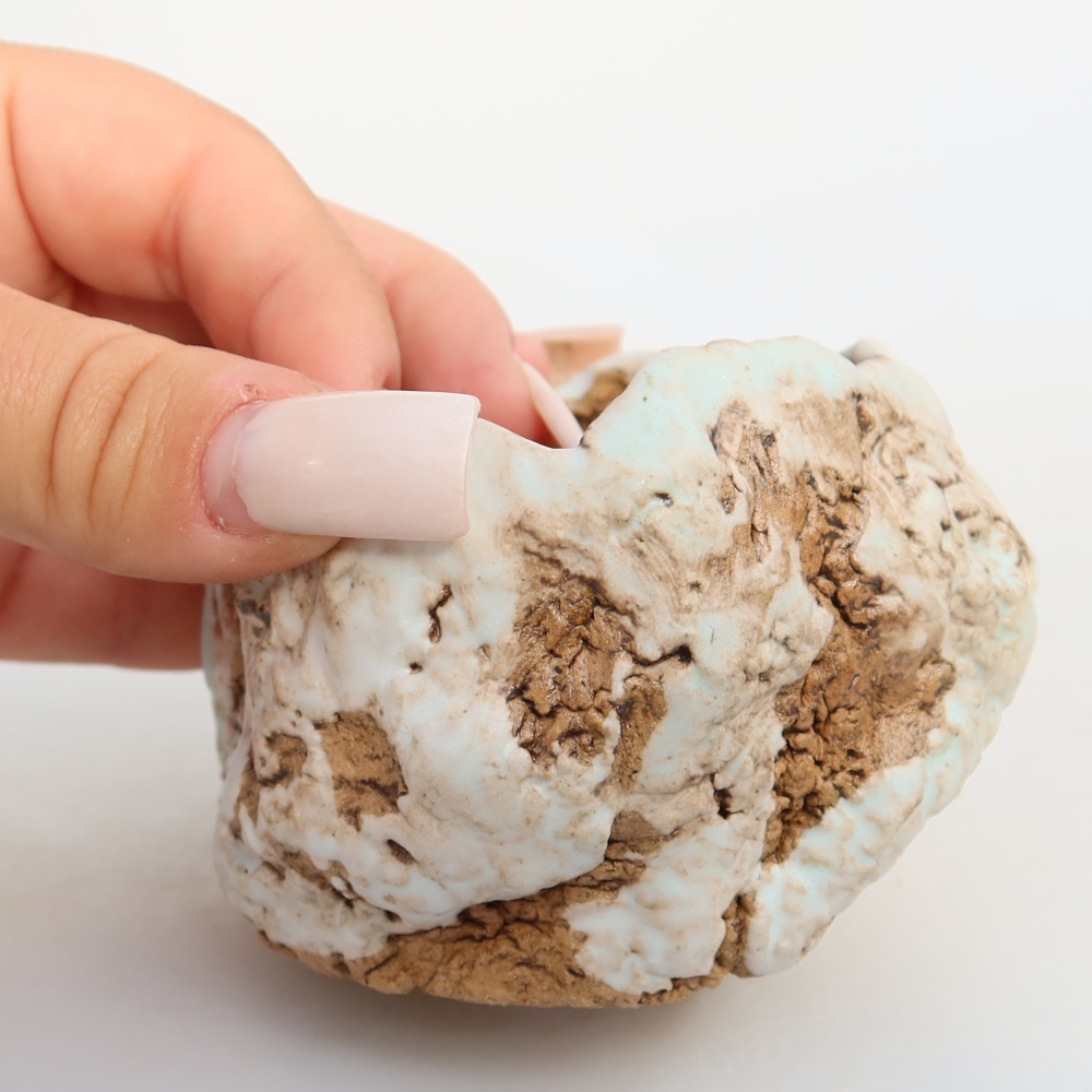 Keramická škrupina  7 x 7 x 6 cm, farba bielo-hnedá