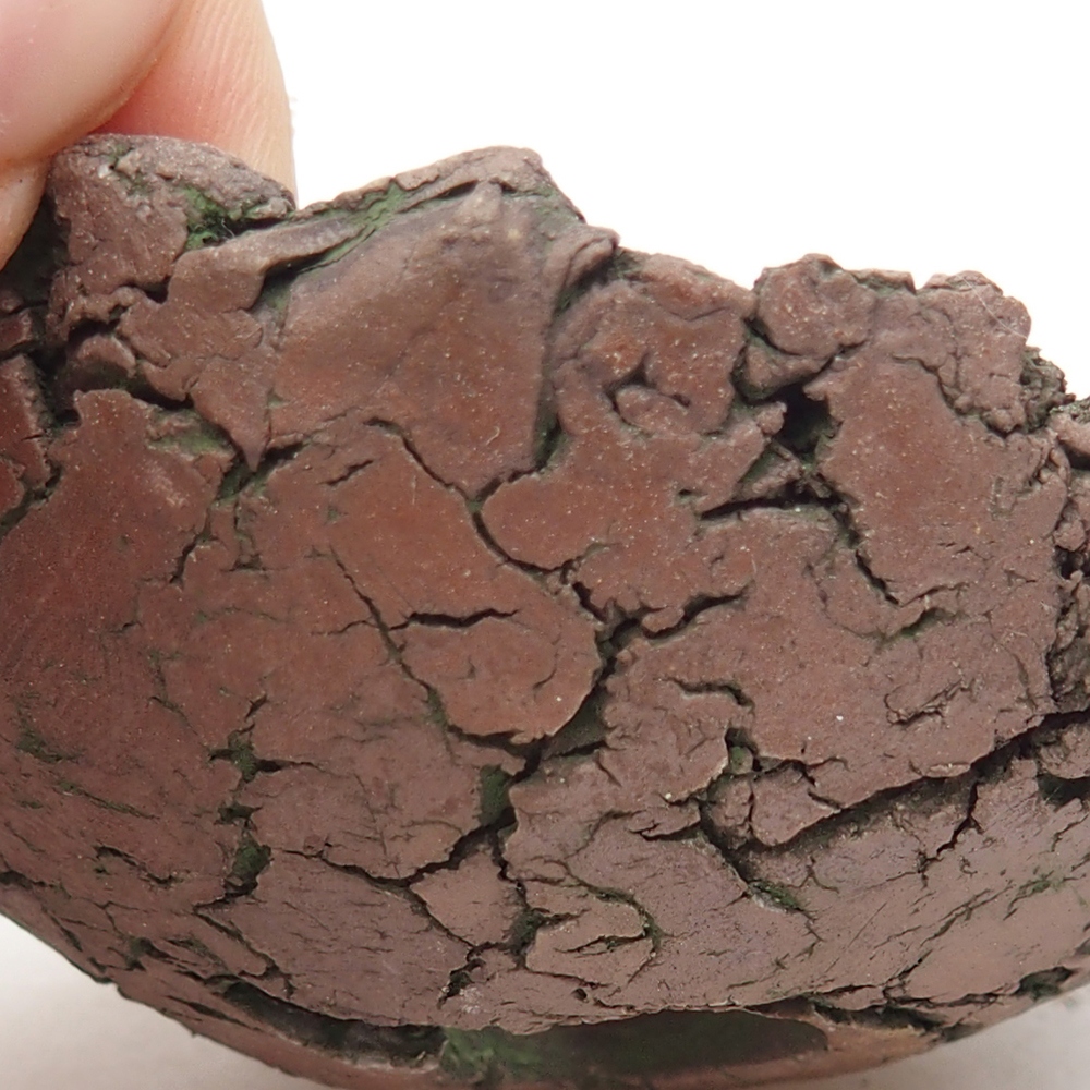 Keramická mušľa 7 x 6,5 x 4 cm , farba zelená