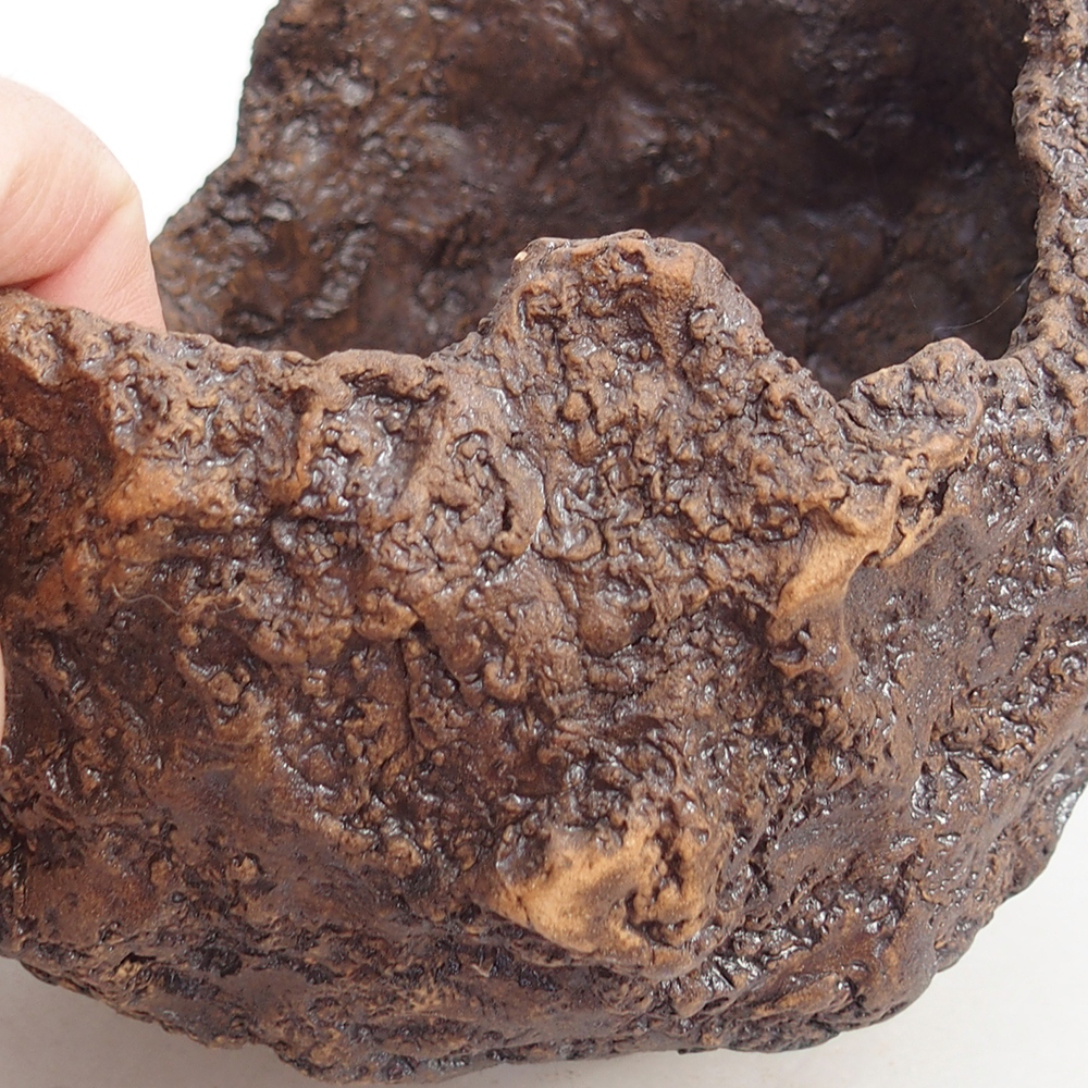 Keramická mušľa 19 x 15 x 14 cm , farba hnedá