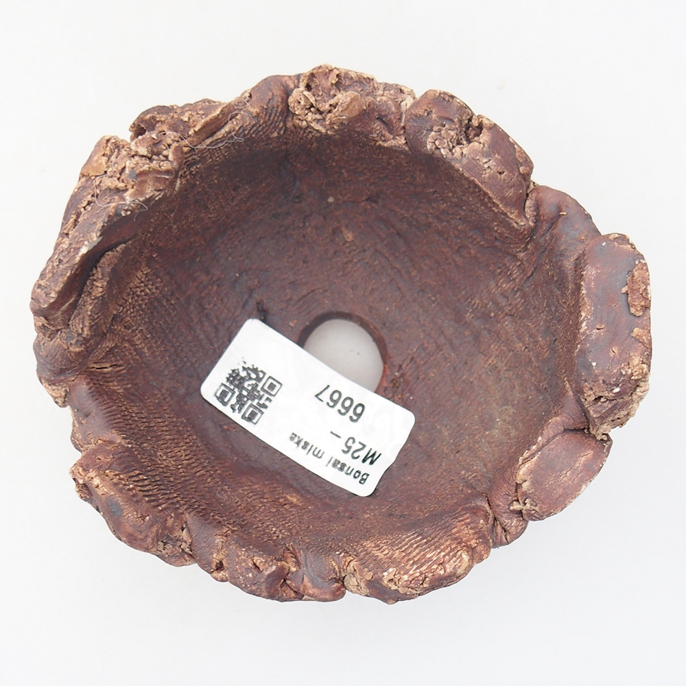 Keramická mušľa 9 x 9 x 6 cm , farba hnedá