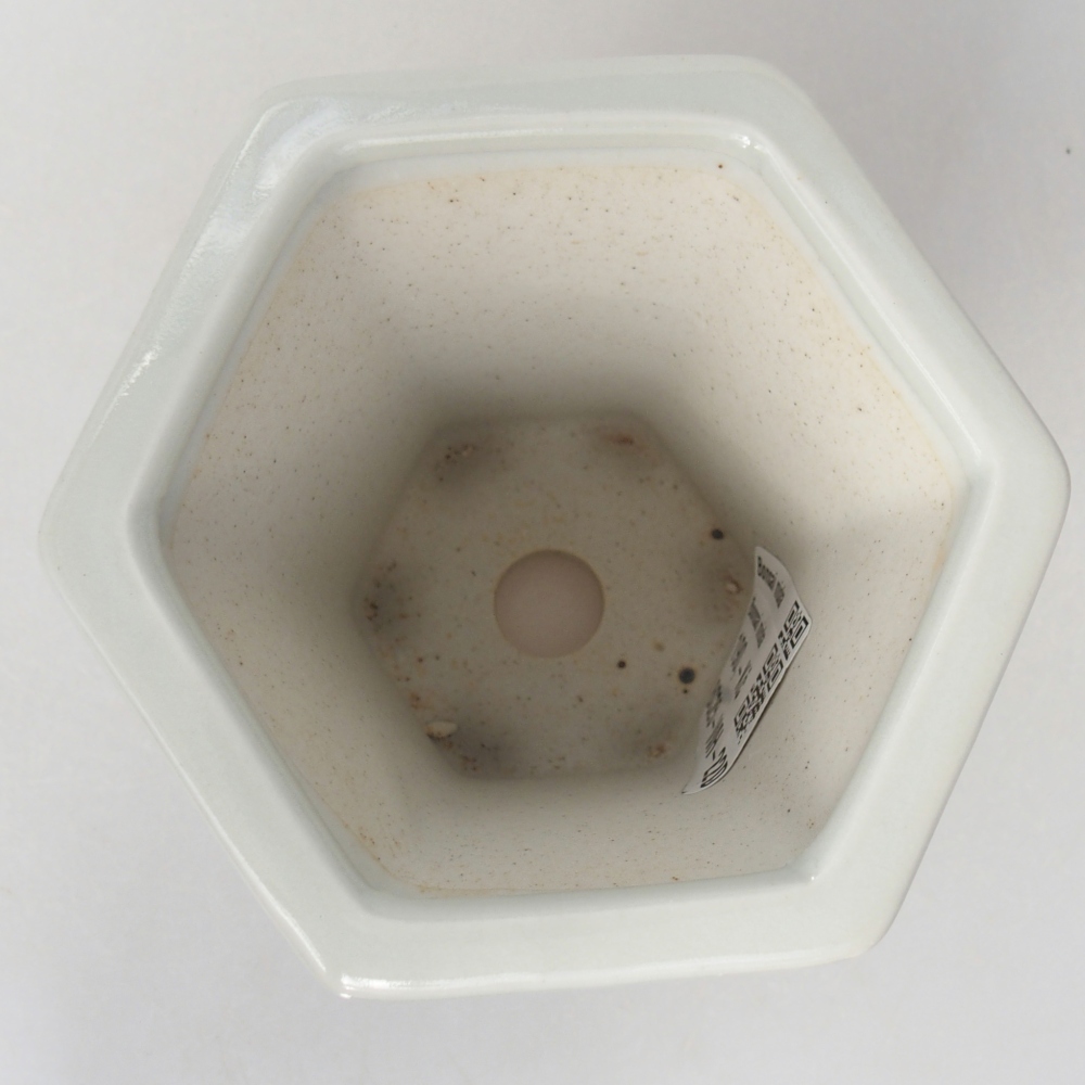 Keramická miska na bonsaje 10 x 9 x 9 cm, farba biela
