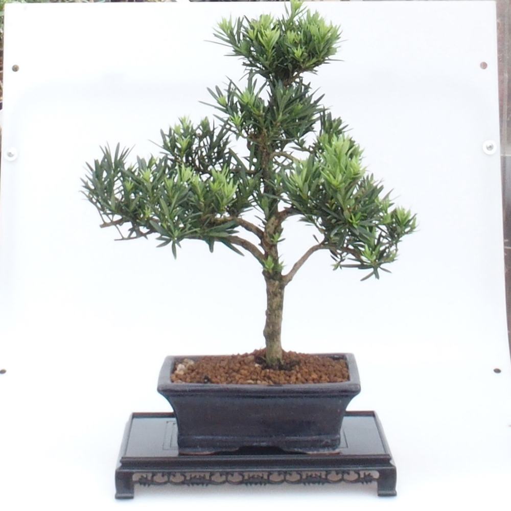 Bonsai stolík plastový obdĺžnikový 27 x 17,5 x 4  cm, farba čierna