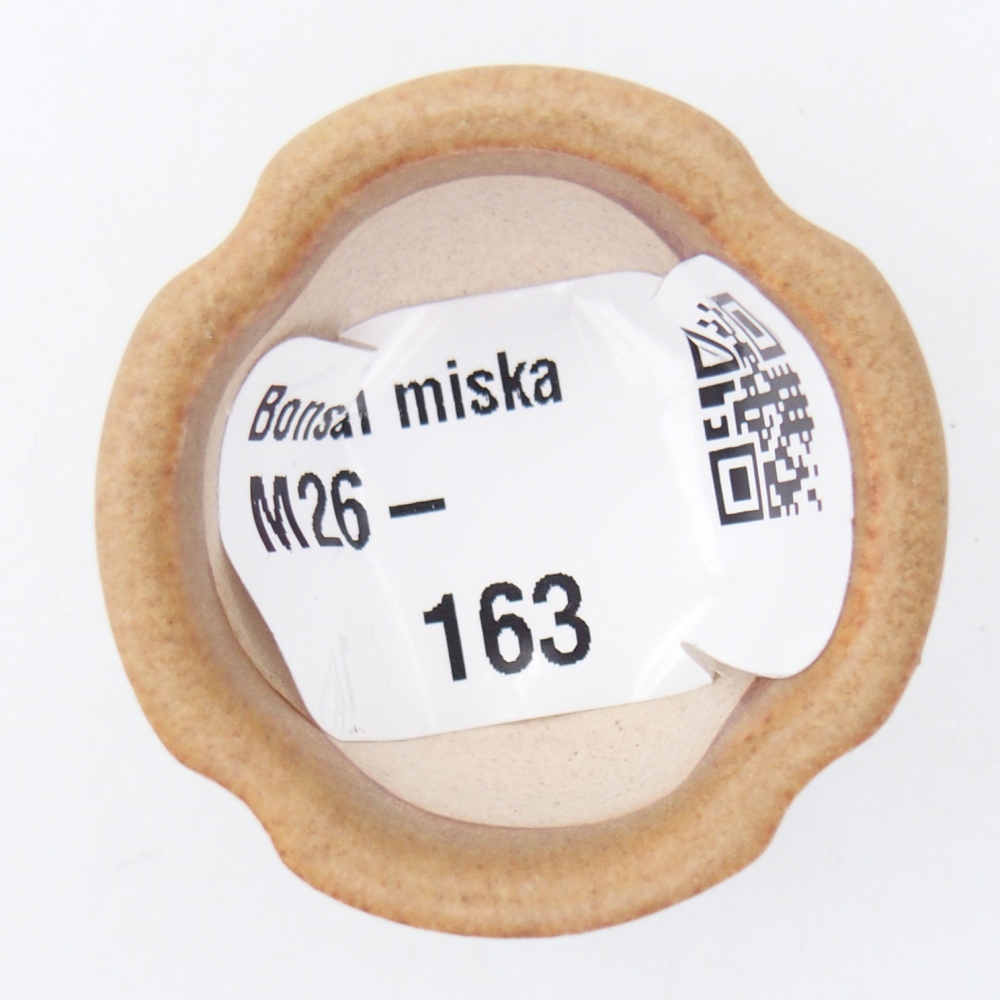 Mini bonsajová miska 3,5 x 3,5 x 2,5 cm, hnedá