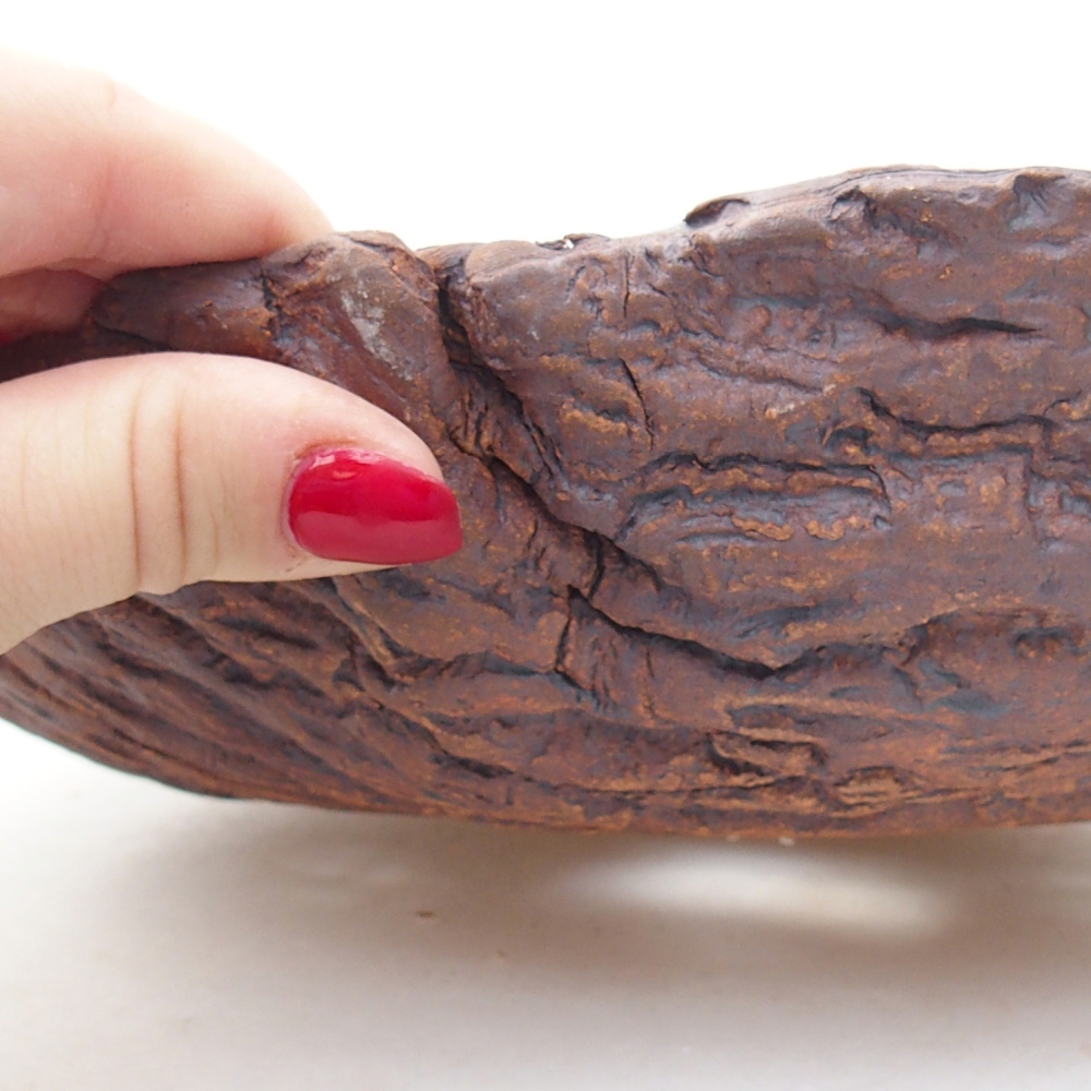 Keramická mušľa 28 x 21 x 9 cm , farba hnedá