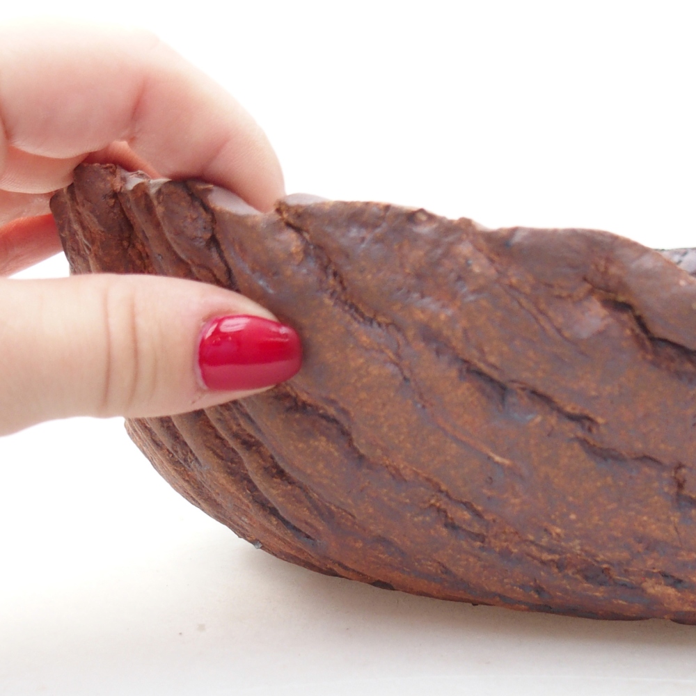 Keramická mušľa 23 x 23 x 7 cm , farba hnedá