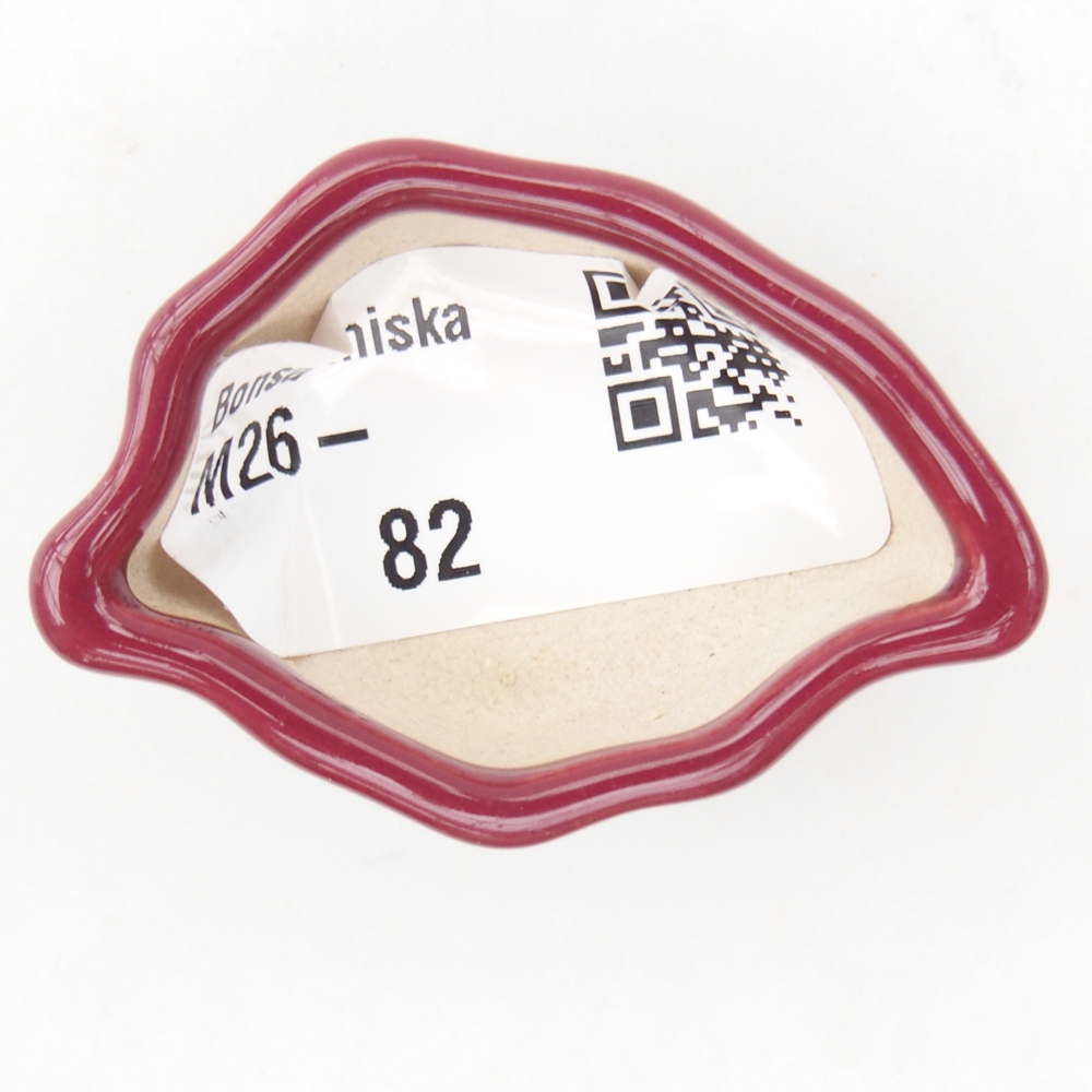 Mini bonsajová miska 5 x 3 x 2 cm, bordová