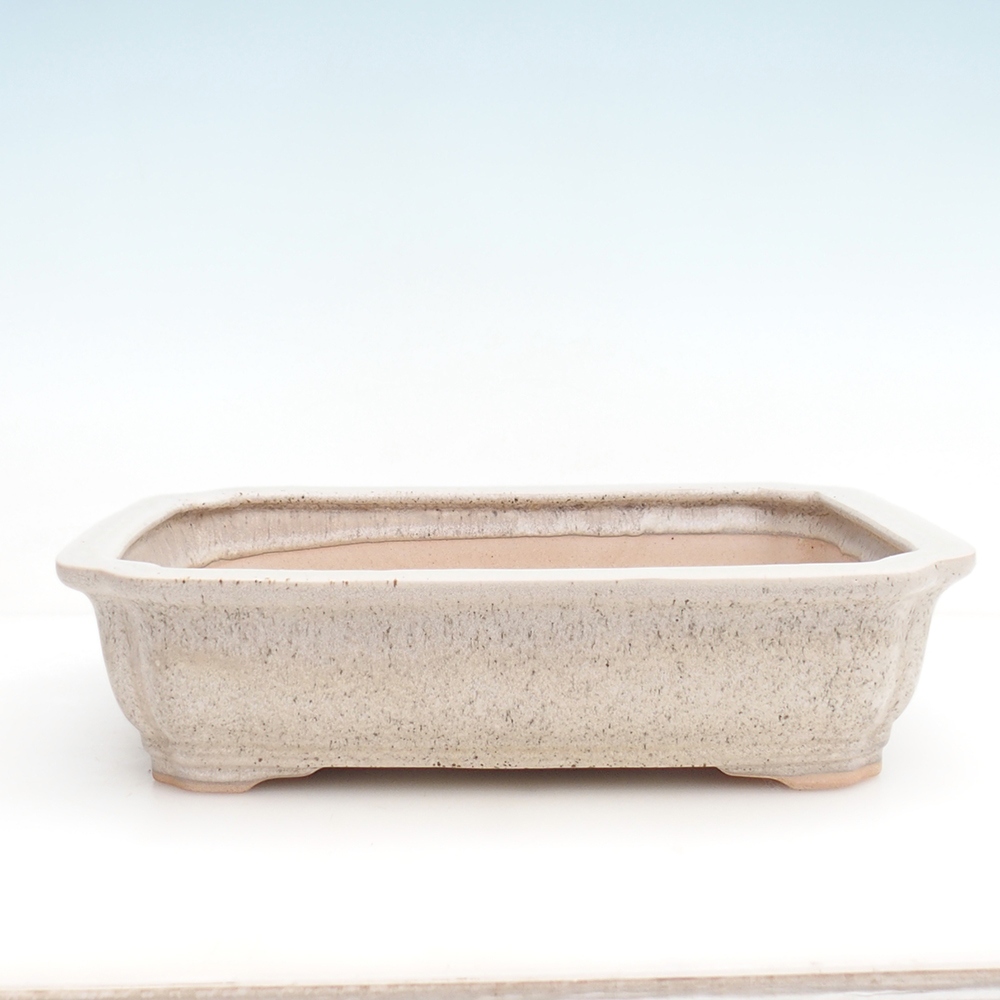 Miska na bonsaj + tanier H20 - 26,5 x 21,5 x 6,5 cm. - béžová