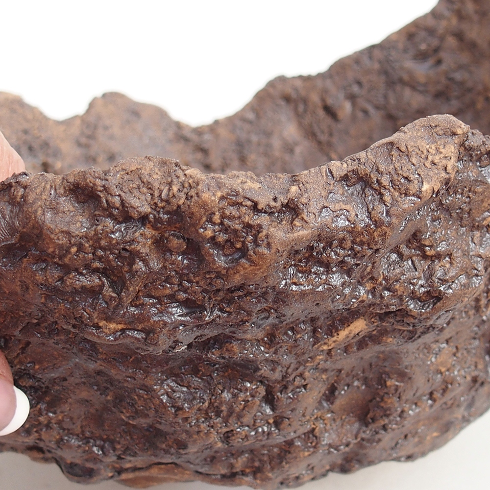 Keramická mušľa 19 x 15 x 14 cm , farba hnedá