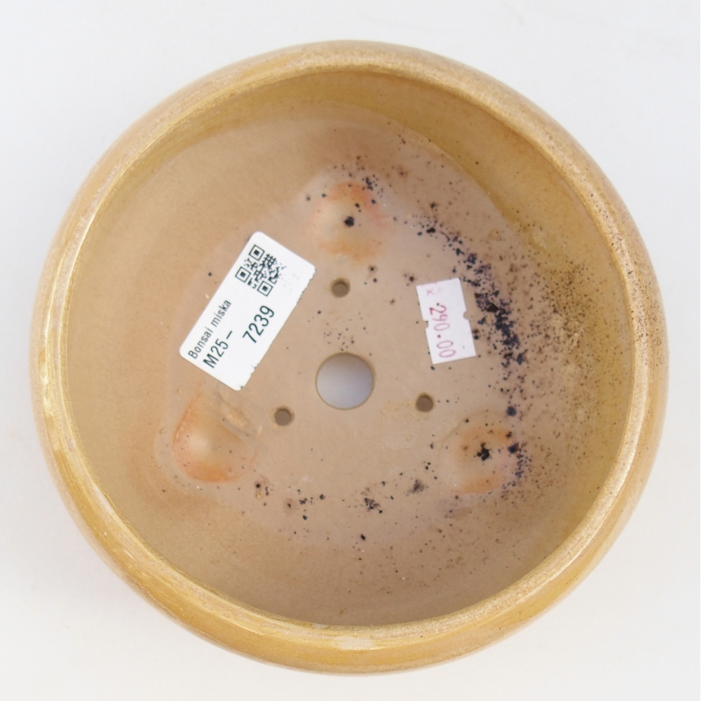 Keramická miska na bonsaje 14,5 x 14,5 x 7 cm, farba béžová