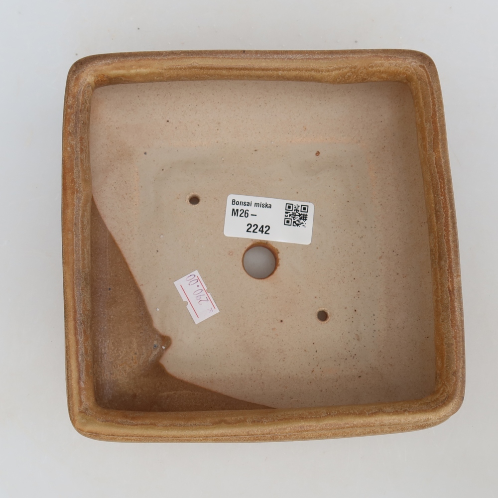 Keramická miska na bonsai 15,5 x 15,5 x 6 cm, farba béžová