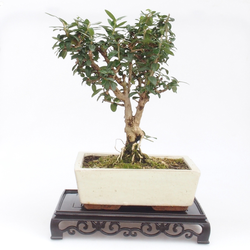 Bonsai stolík plastový obdĺžnikový 22 x 14 x 4  cm, farba čierna