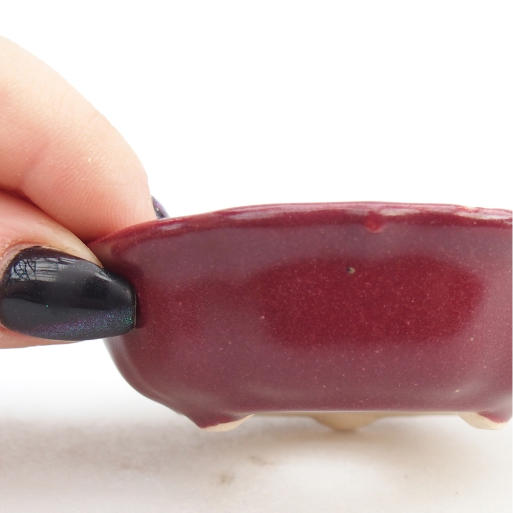 Mini bonsajová miska 7,5 x 7,5 x 2,5 cm, bordová