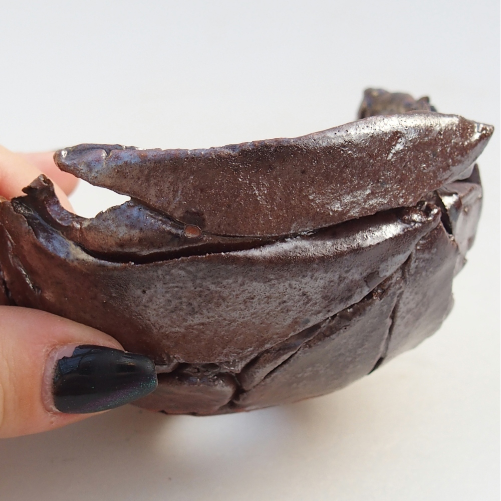 Keramická mušľa 10 x 10 x 6 cm , farba hnedá