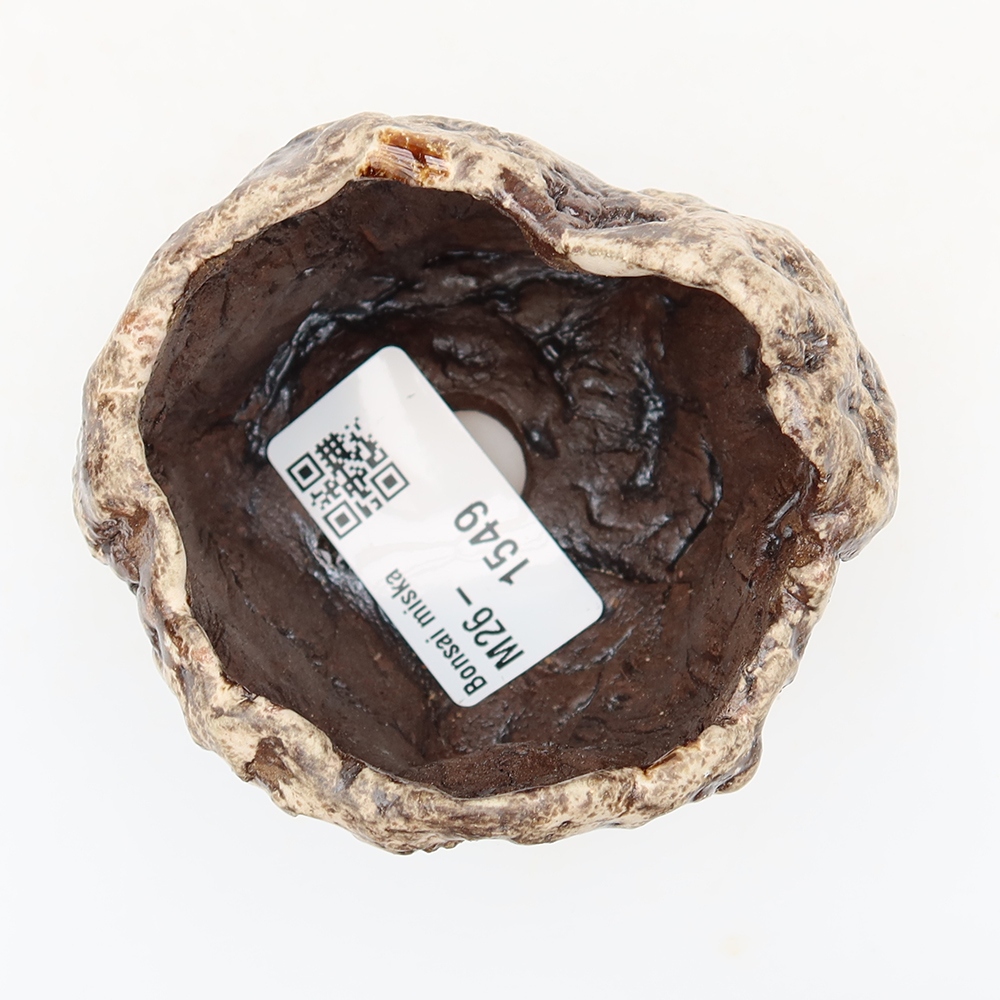 Keramická škrupina  6,5 x 5,5 x 6 cm, farba hnedobiela
