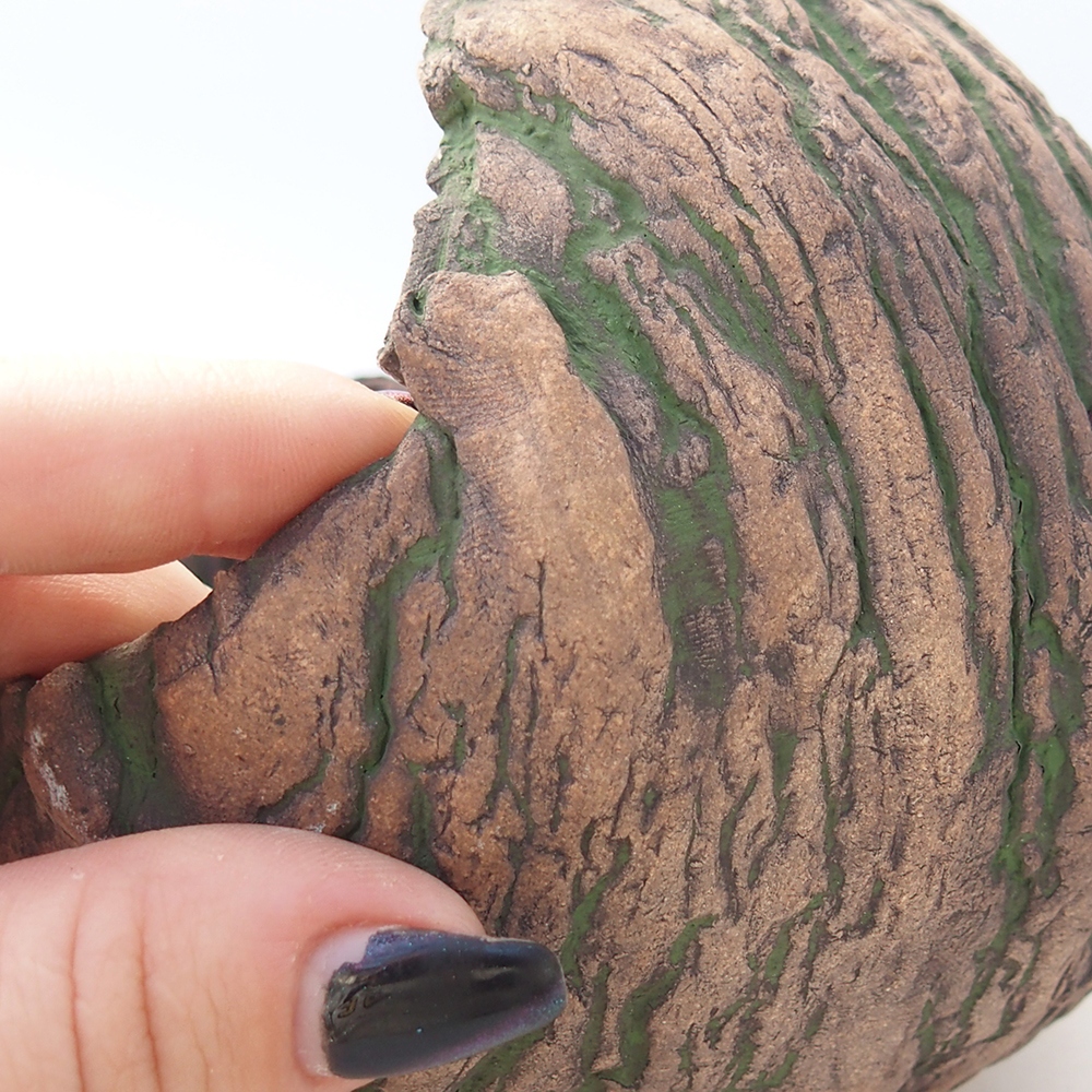 Keramická mušľa 13 x 13 x 12 cm , farba zelená