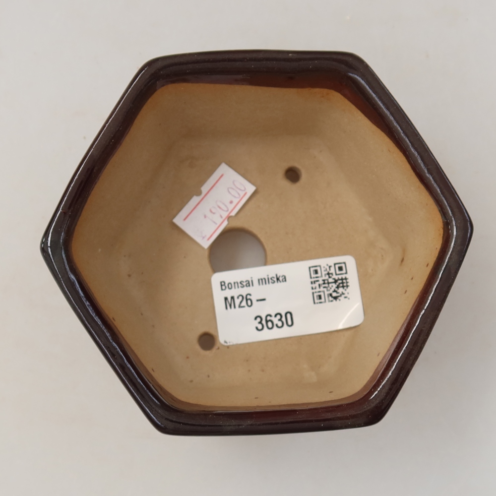 Keramická miska na bonsaje 10 x 9 x 5 cm, hnedá