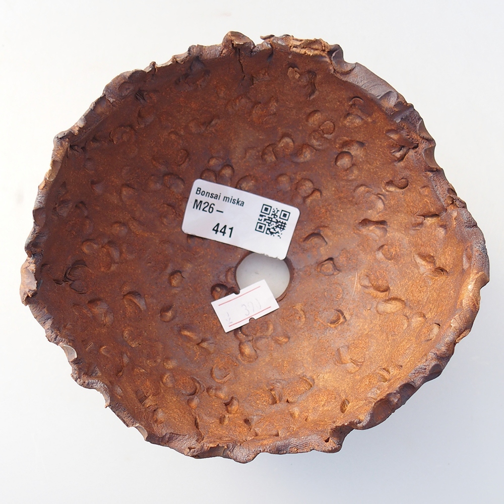 Keramická mušľa 13 x 12,5 x 8,5 cm , farba hnedá