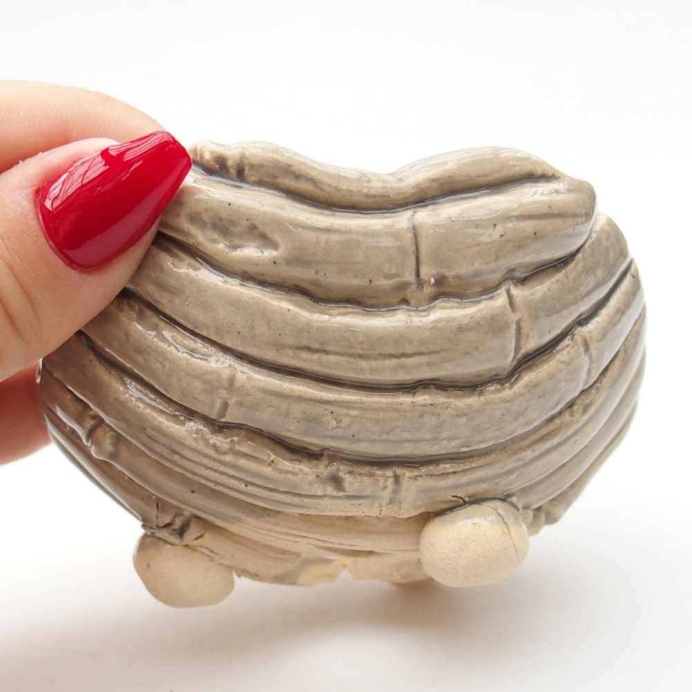 Keramická mušľa 8,5 x 8,5 x 6 cm , farba béžová