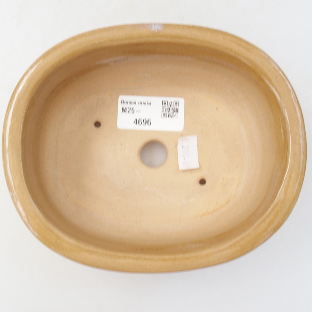 Keramická bonsai miska 15,5 x 12 x 5,5 cm, farba béžová
