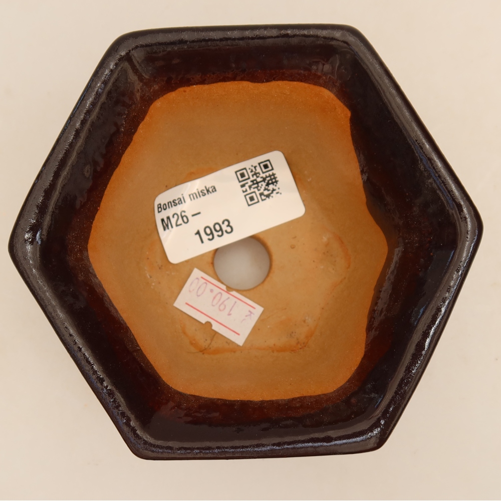 Keramická miska na bonsai 10,5 x 9,5 x 5,5 cm, farba čierna
