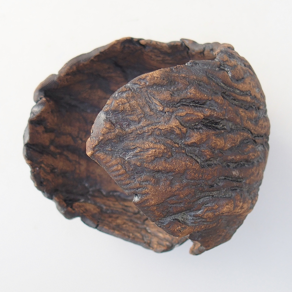 Keramická mušľa 9,5 x 9 x 12 cm , farba hnedá