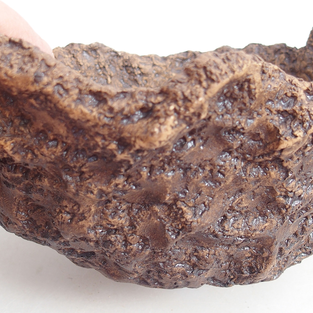 Keramická mušľa 19 x 15 x 14 cm , farba hnedá