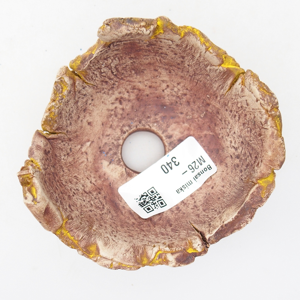 Keramická mušľa 9 x 9 x 5,5 cm , žltá