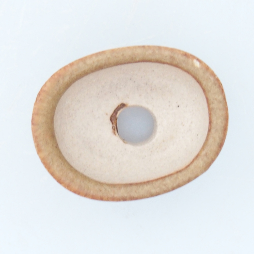 Mini bonsajová miska 2,5 x 2 x 1,5 cm, hnedá