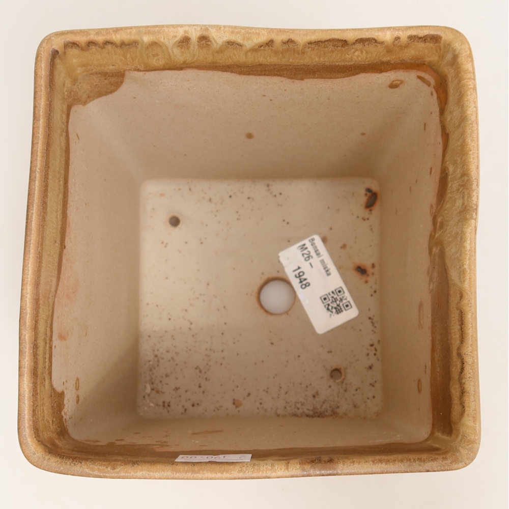 Keramická miska na bonsai 13 x 13 x 13,5 cm, farba béžová