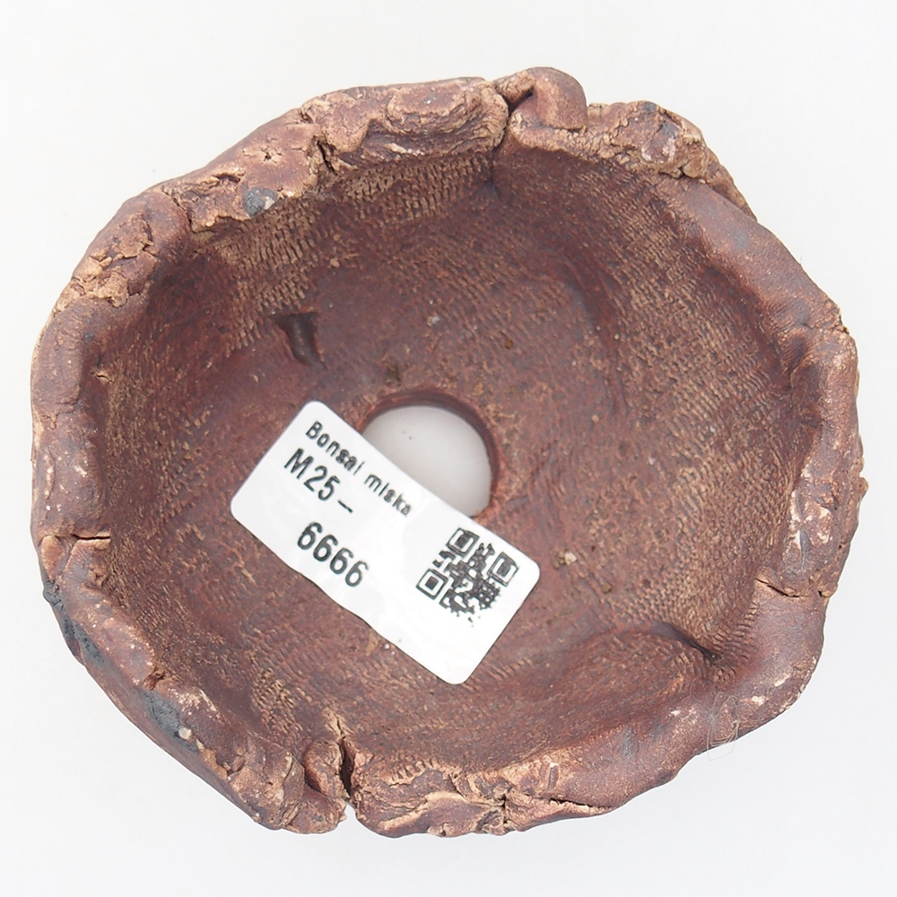 Keramická mušľa 9 x 8,5 x 6 cm , farba hnedá