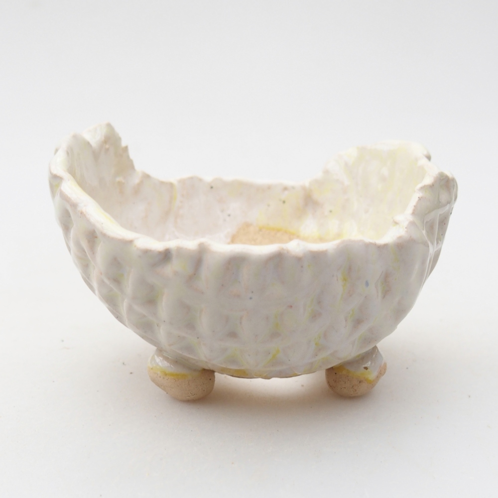Keramická mušľa 8 x 8 x 5 cm, farba zelená