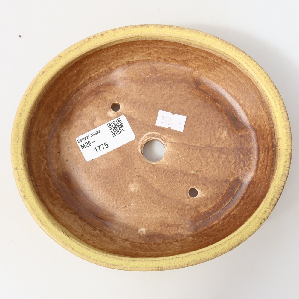 Keramická miska na bonsai 18,5 x 16,5 x 4,5 cm, farba žltá
