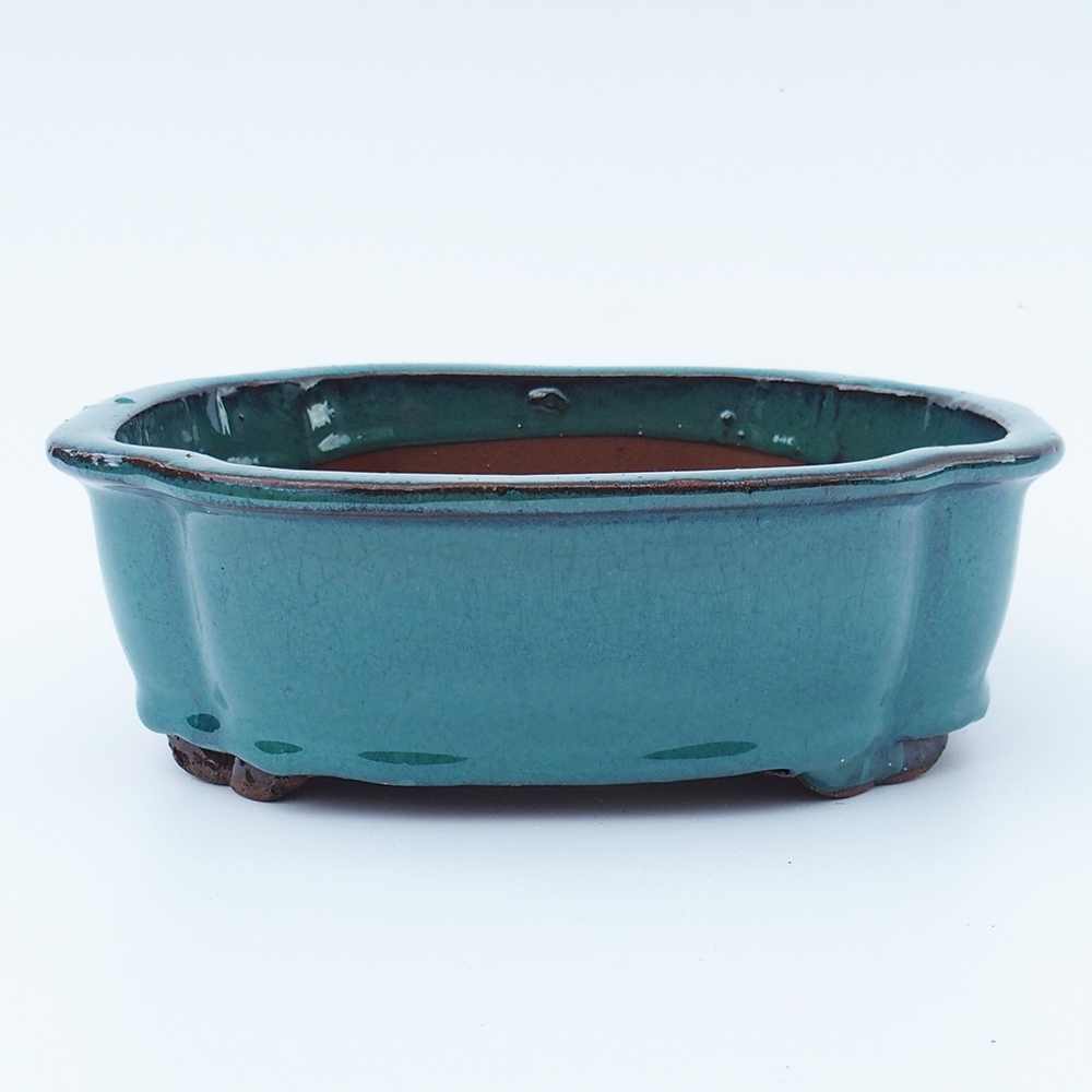 Misa 20 x 16 x 6,5 cm zeleno-modrá