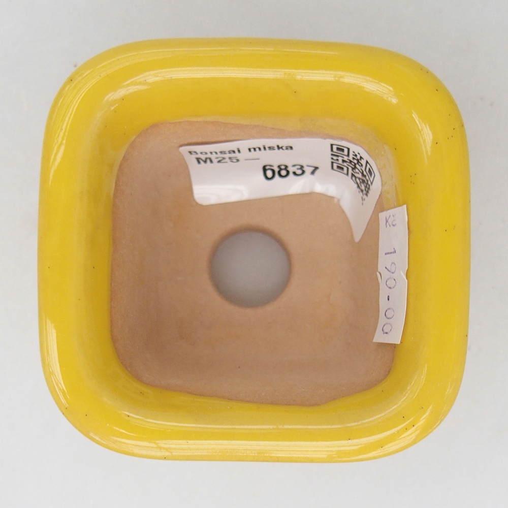 Keramická miska na bonsaje 6,5 x 6,5 x 5 cm, žltá