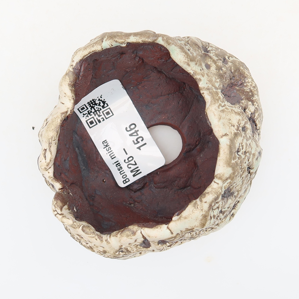 Keramická škrupina  7 x 6 x 6 cm, farba hnedobiela