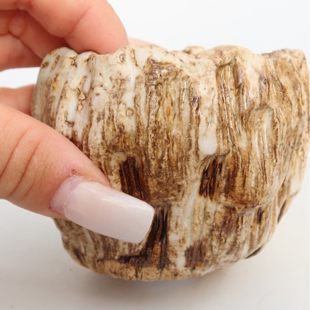 Keramická škrupina  7,5 x 7 x 6,5 cm, farba bielo-hnedá
