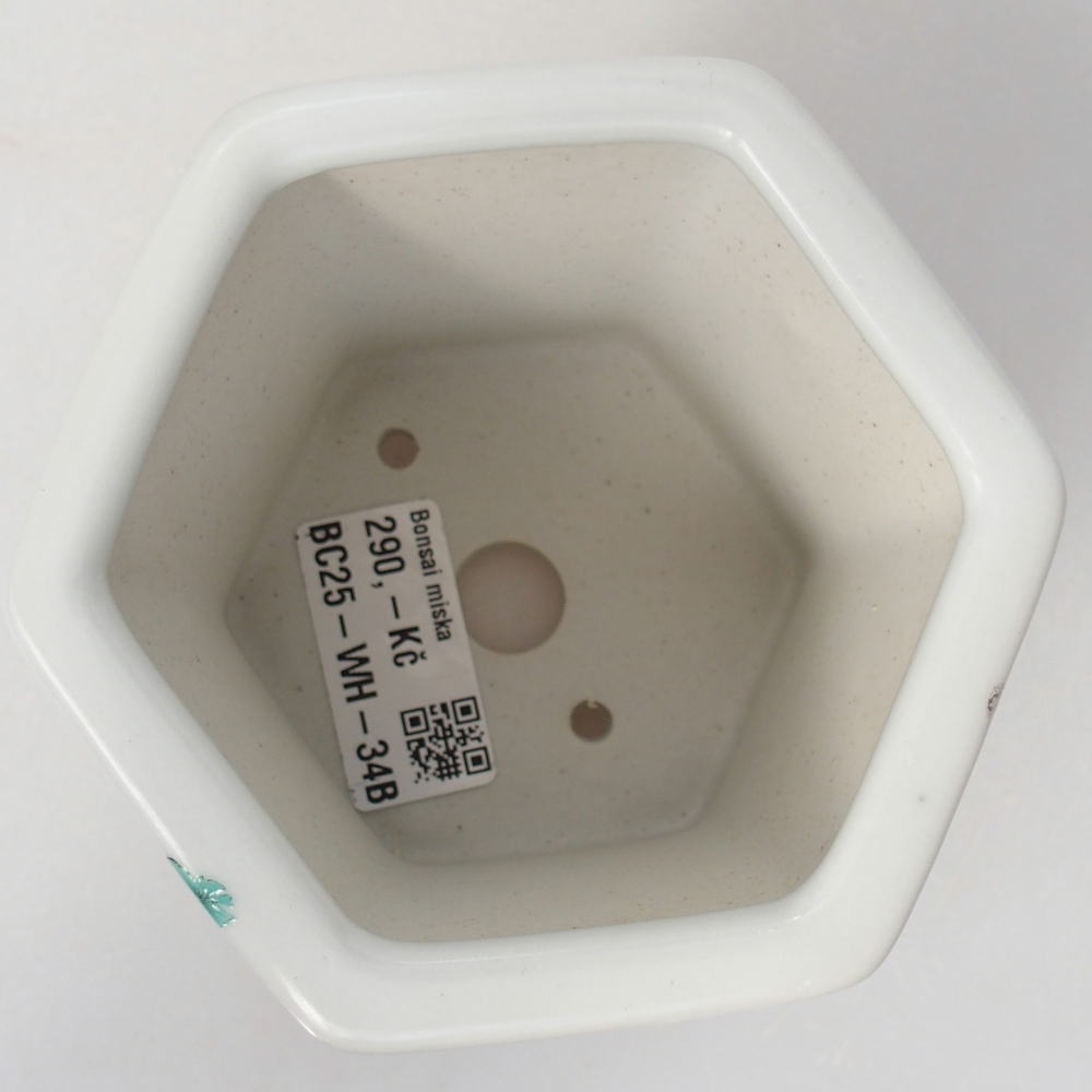 Keramická miska na bonsaje 10,5 x 9,5 x 9 cm, farba biela