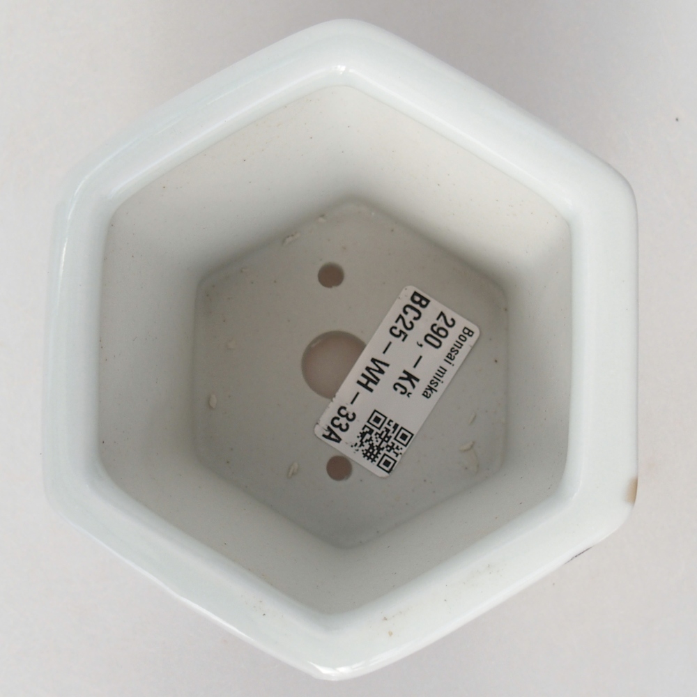 Keramická miska na bonsaje 10,5 x 9,5 x 9 cm, farba biela