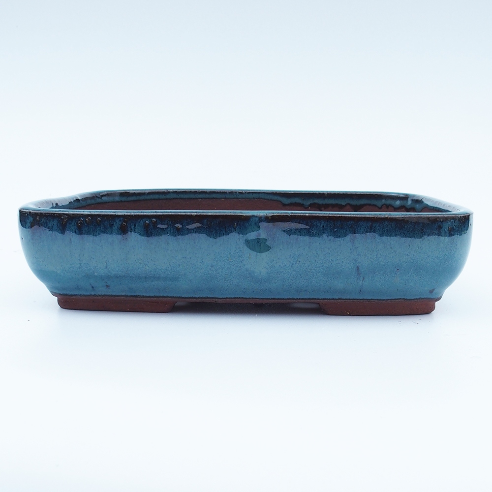 Misa 25 x 18 x 6 cm modrá